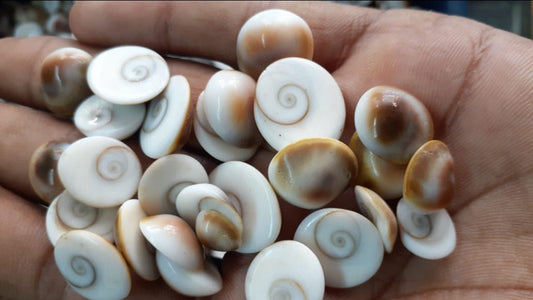 Benefits of Keeping Gomti Chakra at Home