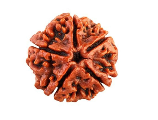 How To Use Panchmukhi Rudraksha For Protection