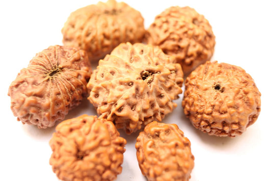 Real vs Fake Rudraksha – How to Check at Home