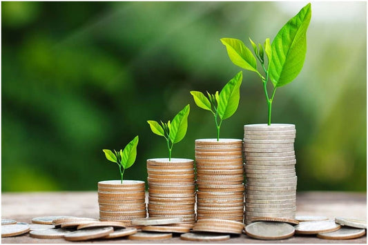 Vastu Tips for Wealth Corner in Your Home