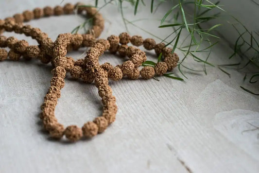 Which Rudraksha is Best for Career Growth and Promotion