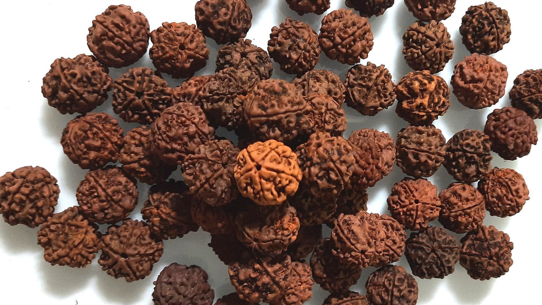 What Is Rudraksha and Why Is It Worn