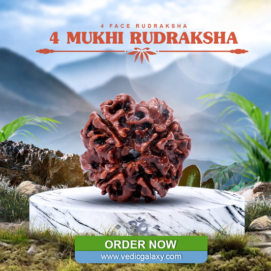 4 Face Rudraksh (4 Mukhi Rudraksh)